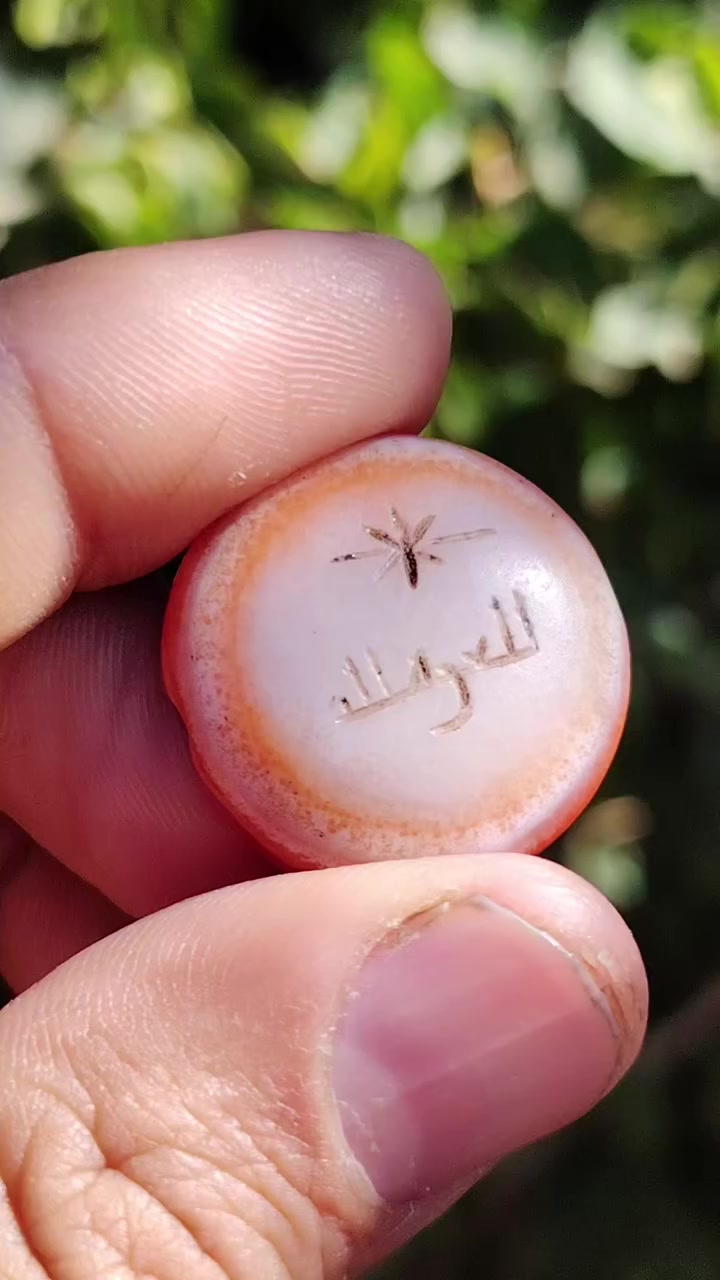 جزعه حمره قديمة ملاكط مشگوله ألمهتم يتفضل خاص ويدلل


**إذا كنت صاحب هذا الإعلان وتريد حذفه لأي سبب، رجاءا أرسل رسالة إلى الدعم الفني**