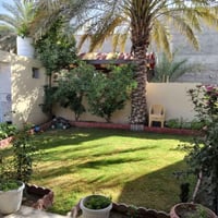 ٢٠ دونم • نزله سعد بيجو • لا تتجزأ