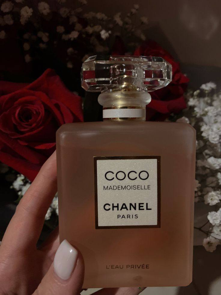 هو عطر أيقوني نسائي يتميز برائحة عصرية، منعشة، وشرقية جريئة، مزيج من البرتقال، الورد، والباتشولي، مما يجعله مثالياً للاستخدام اليومي والمناسبات. يعتبر من العطور الجذابة التي تدوم طويلاً، ويأتي بتركيزات مختلفة مثل أو دو بارفان (EDP) و انتنس

#فولو #فولومي #فولورز #اكسبلور_فولو #ضيفوني #الاكسبلور_فولو💕 #بيع_لايكات #لايكاتكم_تسعدني #حب #تعليقات #تعليقاتكم_تسعدني😍 #تعليق #تعليقاتكم_تسعدني #متابعة_للبيج #ضيفو #اكسبلور #لقطة #لايك #دعم #تفاعل #لايكات #كومنت #كومنتات #اكسبلور


**إذا كنت صاحب هذا الإعلان وتريد حذفه لأي سبب، رجاءا أرسل رسالة إلى الدعم الفني**