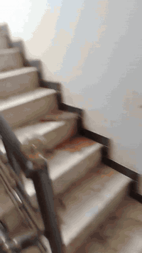 السلام عليكم يوجد لدينا شقه للاجار مساحه ٩٥م غرفتين نوم صاله كبيره صحيات  المثلث الذهبي العدل الأول ***********
