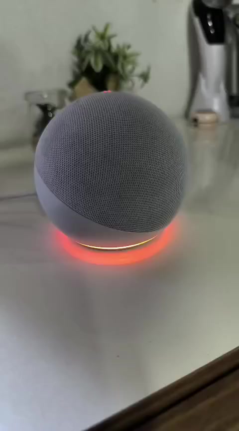 أليكسا الجيل الخامس السعر 85


**إذا كنت صاحب هذا الإعلان وتريد حذفه لأي سبب، رجاءا أرسل رسالة إلى الدعم الفني**