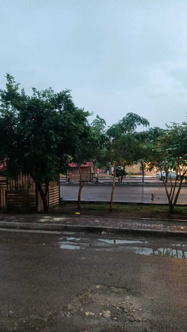 دار البيع
حي الجهاد 
ديوان الظباط على اربع شوراع
مساحة 💯 متر 
3غرف نوم 
2حمامات ديكورات 
جبسن بورد 
الارضيه مرمر
***********واتساب
***********واتساب
