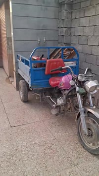 ستوتة للبيع نضيفة حيل 07829173552