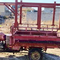 موديل 17 • أوراق كاملة • سعدية الشط