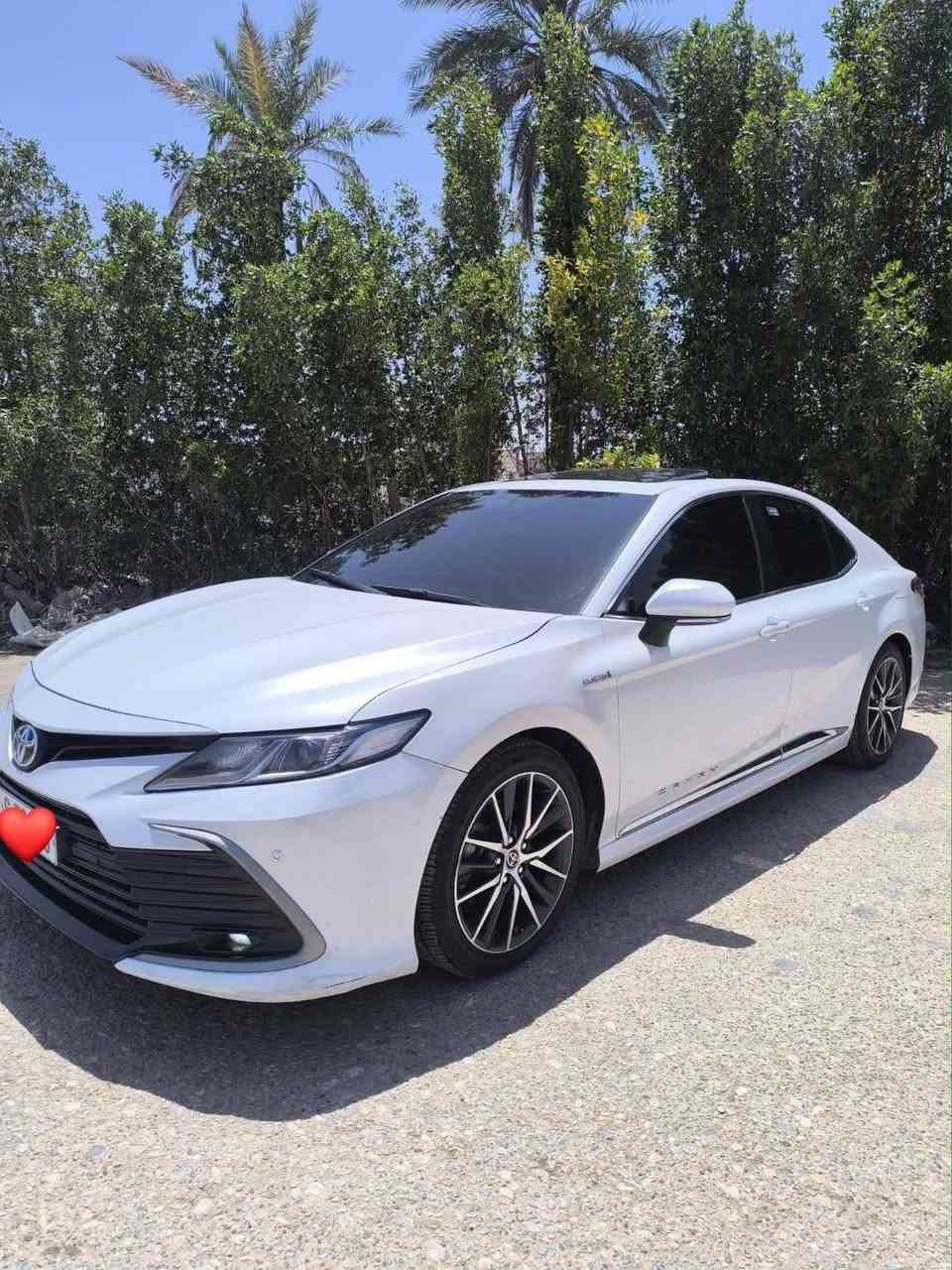 السلام عليكم🙋🏻‍♂️
كامري 2023 خليجي هايبرد وكاله عبد اللطيف  فول 1/1  مكفوله برده سلايت رقم بغداد باسمي تحويل ثاني يوم عنوان السياره محافظة الديوانية 

السعر ‼️ خاص او تصل ع رقم  ‼️
 #للاستفسار 
او مراسله الصفحة أو واتساب او الاتصال ع الأرقام التأليه 
   ***********
https://wa.me/message/54I3LYHRG7YFG1
