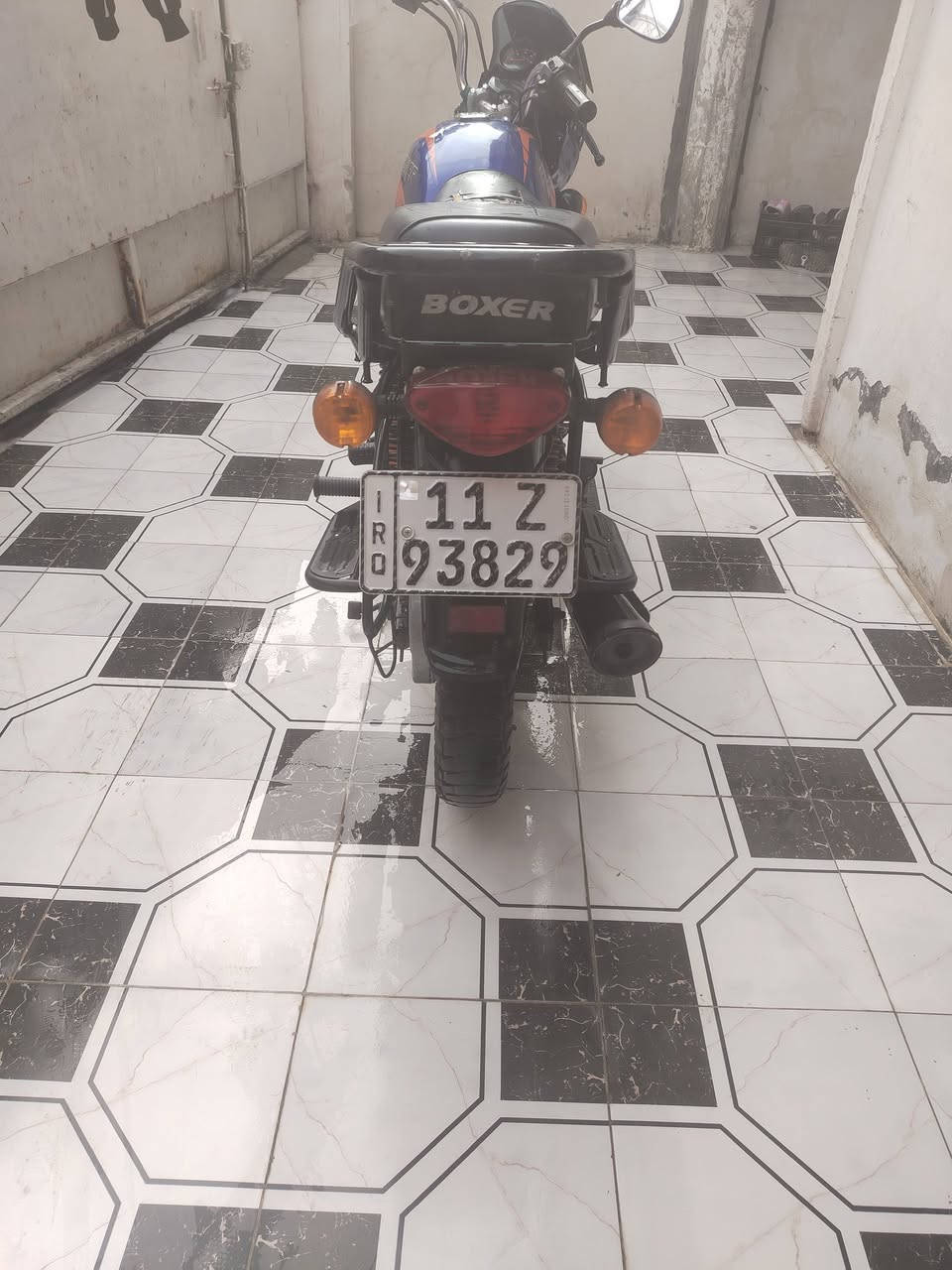 سلام عليكم شباب عدي بوكسر جبلي موديل 23 مرقم سنويه بسمي ثاني يوم احولك دراجه الله شاهد نضيفه تجي وشوف بعينك واني خادم الكم 
العنوان بياع شرطه الخامسه 
هاذه رقمي بي وتساب *********** 
كل حترامي الكم
