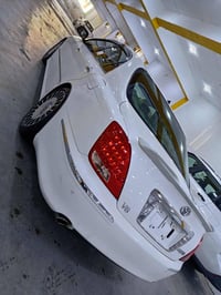 فول • ٢٠٠٥ • بوياخ أوروبي