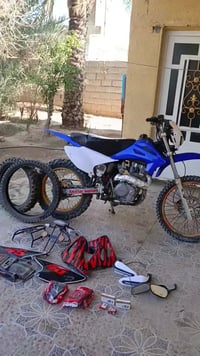 قفاز • كاويار • ٢٠٢٤