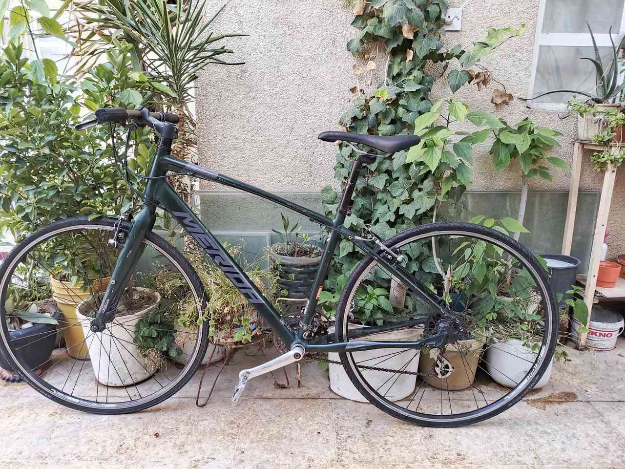 دراجه ماركة #MERIDA  العالميه ماركه غنيه عن التعريف صنع  Germany  ألماني 🇩🇪اصلي
فوول ألمنيوم خفيف جداً لشه مضلع حديث 

سستم شيمانو كاملSHIMANO

بدالات السرعة  8X3  سحب دفع

ستيرن  مختوم ميردا MERIDA

وياله طبقتين  مختوم MERIDA 

مقبظ طبي مختومMERIDA

زوج تايلت جدد

كمبليونات وياله وسرج.  #سعر140 وبي مجال بسيط للتواصل على الخاص


**إذا كنت صاحب هذا الإعلان وتريد حذفه لأي سبب، رجاءا أرسل رسالة إلى الدعم الفني**