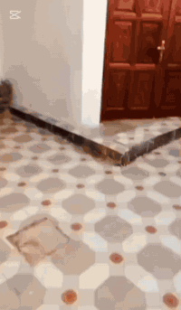 بيت للبيع مبادرة الوردية قرب جسر ديالى عدد الغرف ٥ مساحة ١٥٠ متر طابقين بناء حديث كامل مواصفات للاستفسار *********** مكتب ابو نمر للعقار
