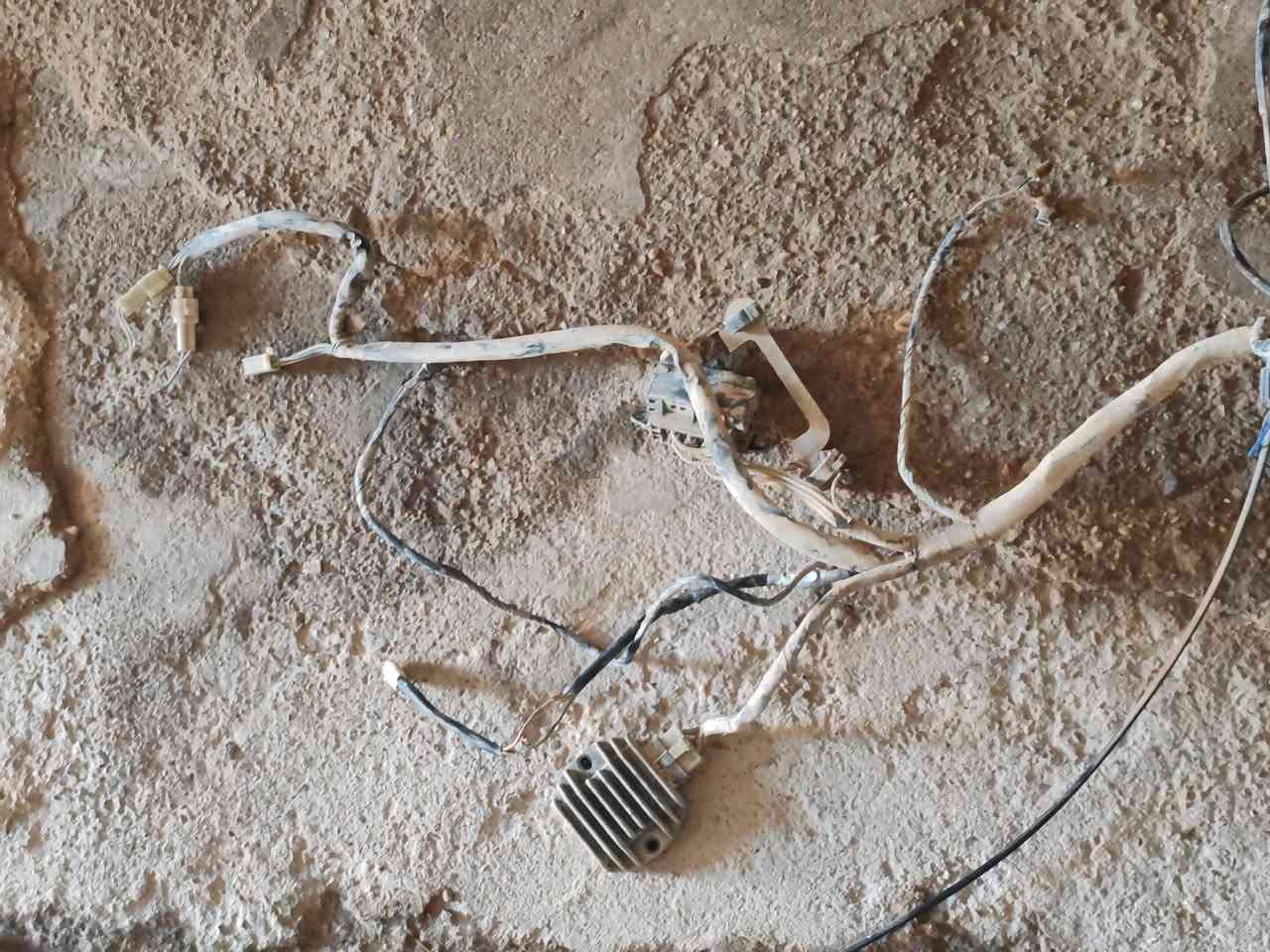 موجود ظفيره كامله مع جوزه وعقل وكل تفرعاته وعندي دراجه كامله تفصيخ واسعار مناسبه ويوجود توصيل الكل العراق با3


**إذا كنت صاحب هذا الإعلان وتريد حذفه لأي سبب، رجاءا أرسل رسالة إلى الدعم الفني**