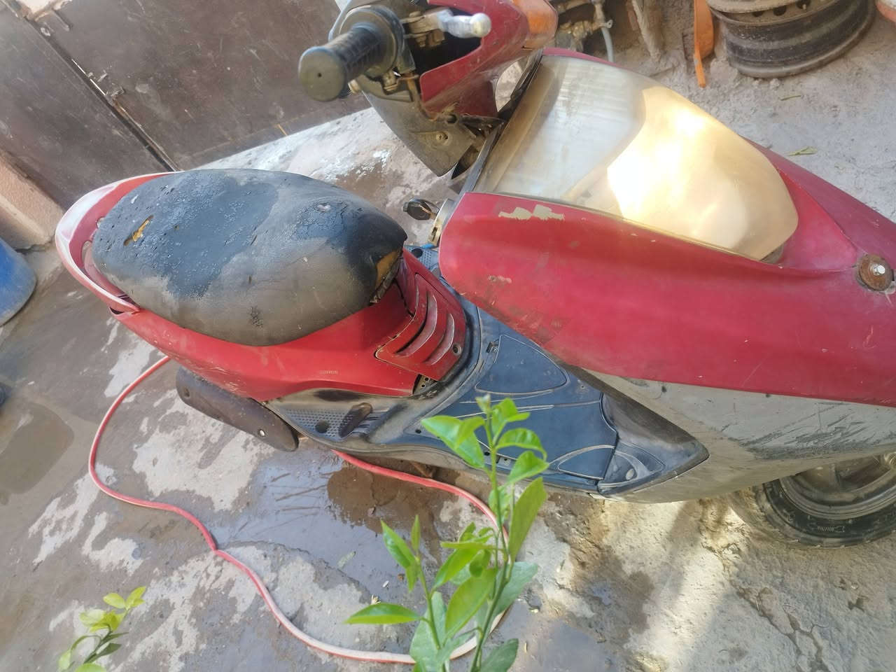 السلام عليكم
دراجة بريز لايت ناصي للبيع ب 350 مكاني بغداد الشعب 

نقصها كڤرات شوية تعبانة البلادية مالتها وكشن


**إذا كنت صاحب هذا الإعلان وتريد حذفه لأي سبب، رجاءا أرسل رسالة إلى الدعم الفني**