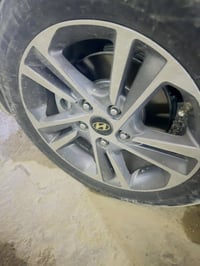 مراوس بويل • عادي • مكاني بغداد