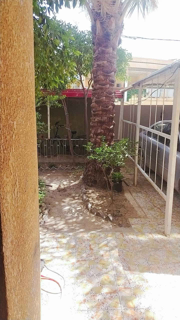 سلام عليكم بيت مساحه 300 متر طابق ونص منطقه الالف قرب ملعب تيسير سعره 250 مليون وإذا اكو مراوس ب 200 متر وينطي فرق حسب الاتفاق بيت جاهز ماابي اي نقص متواجد خاص وهذا رقمي هم بي واتساب ***********
