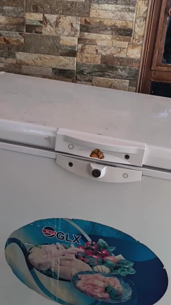 مجمده تشتغل بس ما تبرد ديوانيه مركز نضيفه س 75 ألف ***********
