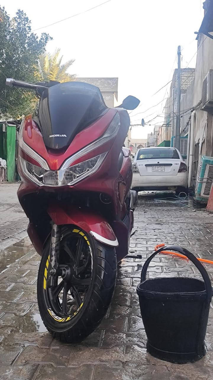 دراجة بي سي اكس جيل الثالث نوع ياباني   حساسات زدحام حساسات مانع نزلاق  مكاني بغداد


**إذا كنت صاحب هذا الإعلان وتريد حذفه لأي سبب، رجاءا أرسل رسالة إلى الدعم الفني**