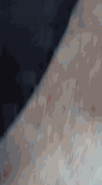 تاير إيراني جديد مستخدم سبوع شراي يجي خاص سعر ١٣ بي مجال


**إذا كنت صاحب هذا الإعلان وتريد حذفه لأي سبب، رجاءا أرسل رسالة إلى الدعم الفني**