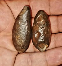 كلش قديمات • ما مستخدمة • حجم أصغر من الصورة