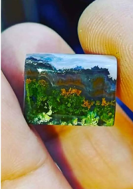 لعيون اعضاء الكروب المحترمين


**إذا كنت صاحب هذا الإعلان وتريد حذفه لأي سبب، رجاءا أرسل رسالة إلى الدعم الفني**