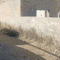 قرب شارع أبو مجيد • ٢٠٠م • للبيع