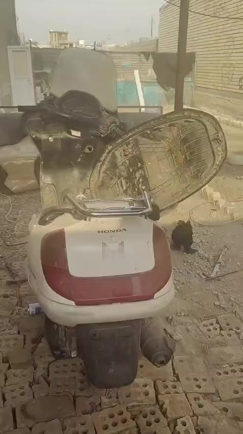 فور سايت لبيع بيه مكينة نشطة شلعة ومعدل بس نقصه كابريتر سويت بيه حادث وتركته لبيع ***********
