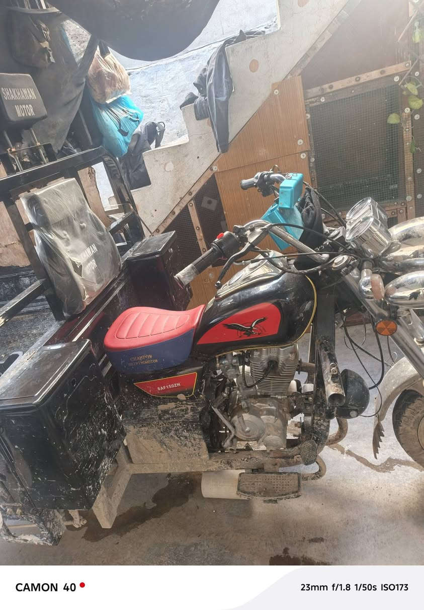 ٢٠٢٥  ***********
