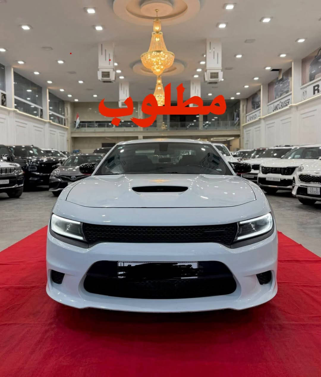 السلام عليكم عندي دعاميات اس إكس تي مراوس اس ارتي مكلف بنشر الاتصال ع رقم
مكاني الديوانية للتواصل 
***********
