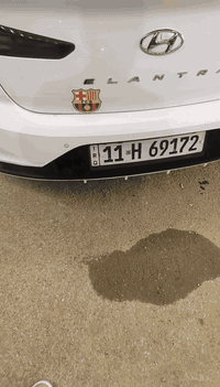 النترا للبيع موديل 2019 وارد خليجي فول مواصفات شكل ال 20 حساس امامي خلفي بس سونار ما مسوي لها باسمي تحويل ثاني يوم العنوان ديالى بعقوبه بهرز 165 وبيها مجال***********
