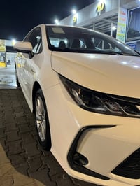 خليجي • ٢٠٢٥ • مقترض وكفيل