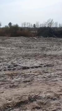 المحامده النساف • ٢٥٠٠م • قرب معمل العلف