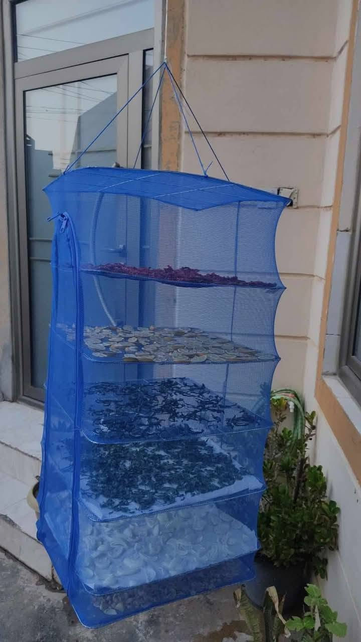 ستاندی وشککردنەوەی سەوزە و میوە کێ ویستی مسج بنێریت گەیاندنم هەیە بۆ هەموو شارەکان


**إذا كنت صاحب هذا الإعلان وتريد حذفه لأي سبب، رجاءا أرسل رسالة إلى الدعم الفني**