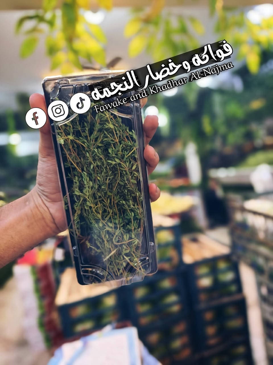 يسعد اوقاتكم زبائن بكل خير 
رجعنا وياكم ويه وجبه جديده من الفواكه و الخضروات 
تابعو النشر للاخير حتى تعرفون كل التفاصيل 
للطلب يرجى مراسلتنا على الصفحة أو الاتصال على رقم 
‏‪***********‬‏

متوفر لدينا خدمة 🚚 🚚🚚💣😍😍
رشاد وفجل الشمال  كرز افريقي مشمش عسل فروله افريقيه رمان افريقي توت وجميع الاستوائيات وجميع الفواكه الفريش 

عنوان شارع نجمه مجاور اسواق بيت ميرة مقابيل صيدليه ارض الصويرة فواكه وخضار النجمه 😍😋
@إشارة
