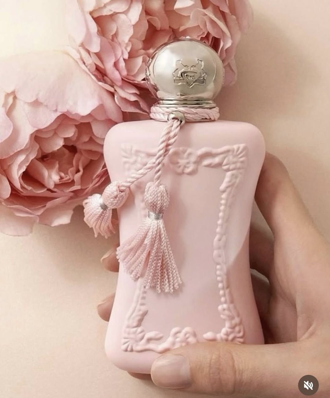 مرحبا بنات
عندي عطور تصفية محل بأسعار كولش مناسبة مستوردتها من دبي قبل ماتزيد الكمرك كولها تيسترات وكوبي درجة اولى أوربي وخليجي 

للي عندها كوزمتك او بيج  اجهزها بأسعار اقل من السوق باضعاف  كل كارتون بي ٢٤ قطعة حسب الايتم الي تختاري بثباتية ممتازة بالنسبة للسعر الي تحب تعلقلي


**إذا كنت صاحب هذا الإعلان وتريد حذفه لأي سبب، رجاءا أرسل رسالة إلى الدعم الفني**