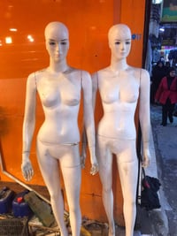 اخوتي مليكانات للبيع بسعر مناسب للاستفسار ٠٧٧١٤٣٤٢٠٢٩ واتساب