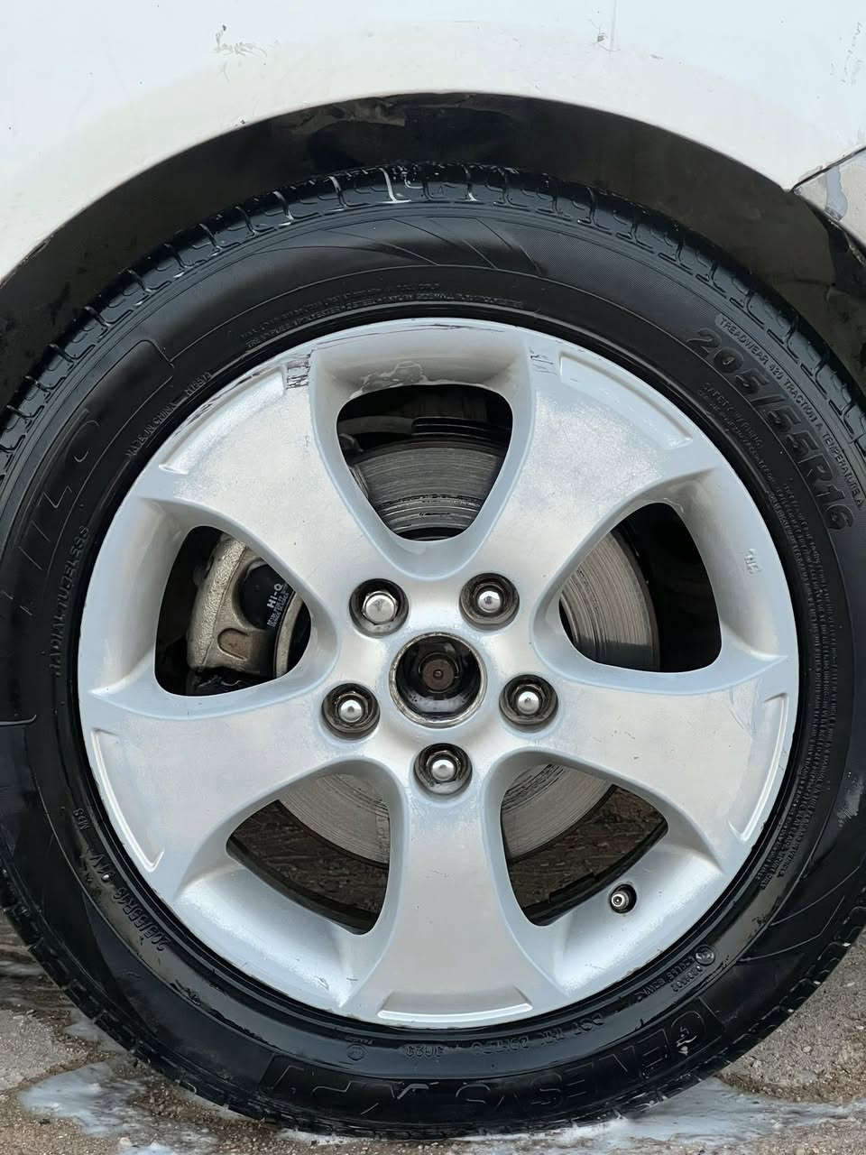 سلام عليكم تخم ويل ٥  سيراتو حجم ١٦ للمراوس مع ويل عادي مكاني نجف 
***********
