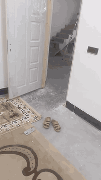 عندي أبواب تركي جديد مامستعمل كامل مع الكيلون بدون جرجوبه ب75 الف أبوغريب خان ضاري ***********،، ***********
