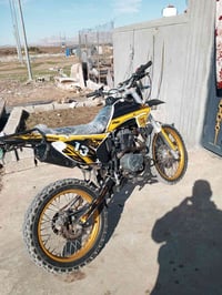 موديل 2022 • أوراق كاملة • السليمانية