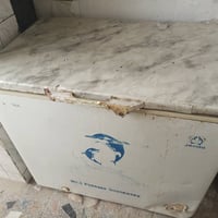 مجمده للبيع  نوعها اوكما دولفين وتجميدها حلو خير من الله على فحص  سعر ...