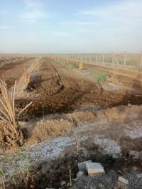 ١١دونم • طابو سند ٢٥ • المسيب الجيلاويه