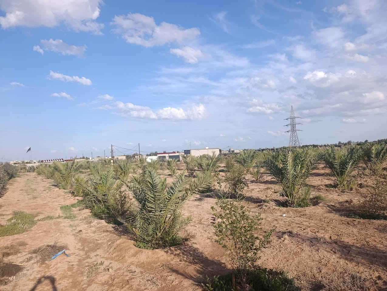 السلام عليكم مزرعه
للبيع المساحه 2 دونم
طريق نجف كربلاء عمود 285
جنس الأرض عقد
مزروع نخل 75 +رمان15+نبك 80 وبيهه بيت وجهاز تقطير كل النخل والملك وسياج بي ار سي السعر 85 /طريق يا علي  تبعد عن الشارع 700 متر


**إذا كنت صاحب هذا الإعلان وتريد حذفه لأي سبب، رجاءا أرسل رسالة إلى الدعم الفني**