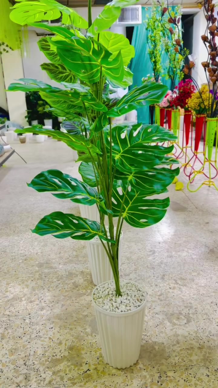 @أبرز المعجبين  فقط يمنة 15 ألف  حجم كبير مفتحين من 2 إلى 12 مساء عنوان خانقين مقابل معمل النسيج مجاور دلسوز البزاز


**إذا كنت صاحب هذا الإعلان وتريد حذفه لأي سبب، رجاءا أرسل رسالة إلى الدعم الفني**