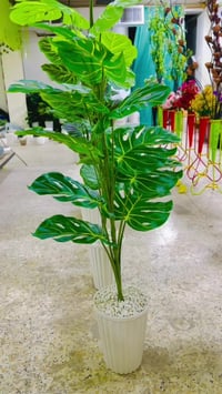 خانقين • حجم كبير • مفتحين ٢-١٢م