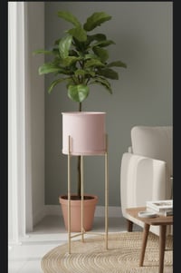 ستاند ذهبي • سلة وردية • زرع وديكور