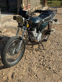 تايگر ٢٠٢٤ • مكفوله • ديوانيه