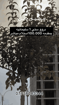 دروو ستي سليمانيه • ١٦٠م • حديقة ٢٠٠م