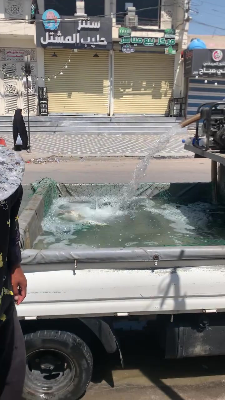 السلام عليكم 

متواجدين في العلوة يوميا من الساعة التاسعة صباحاً إلى الساعة التاسعة مساءً 

سعر كيلو الشواء ٧٠٠٠

سعر كيلو الحي ٥٥٠٠

المشتل شارع الكوسترات مقابل مطعم جاسم رعاية 

***********

خدمة الزبائن
