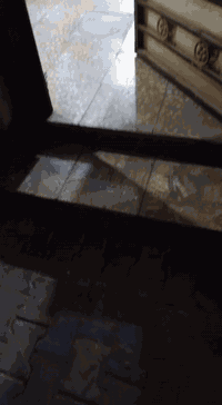 عكادة • نص قطعة أمامية • ٧٤م