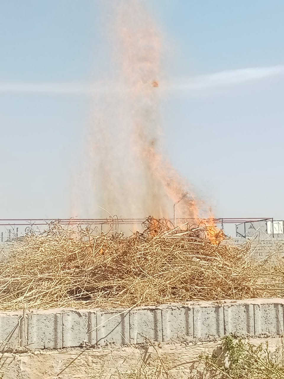 قلع دغل مزارع أو حدائق 

داخل كركوك 
تواصل على رقم ***********
