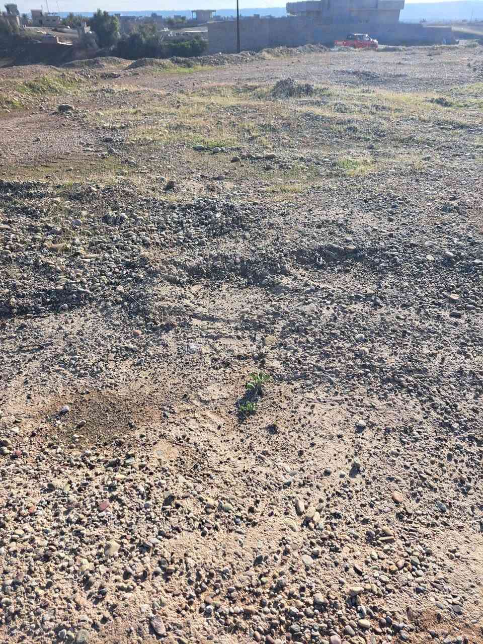 السلام عليكم
توجد قطعة أرض للبيع الموقع الطريق الحولي مكان سياحي واصل ماء كهرباء شارع عليها مباشر مساحتها ١٥٠٠م 
السعر ١٨ مليون جيران بيت عبد الحكيم للاستفسار الاتصال على الرقم ***********
