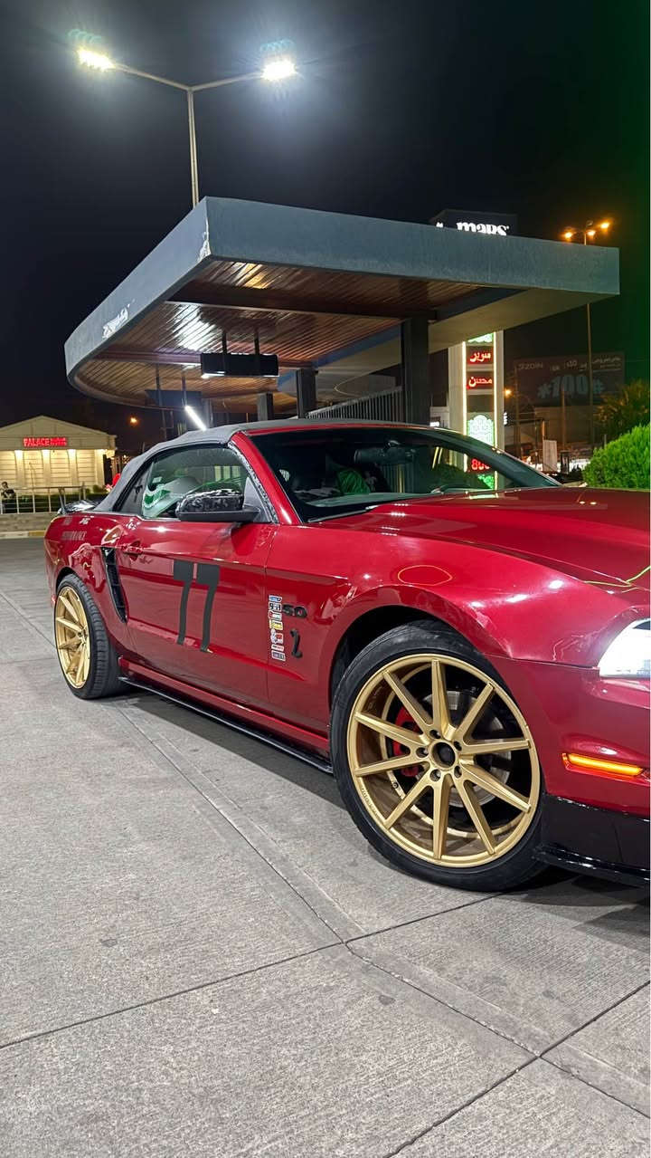 موستنك ٢٠١٣ للبيع او للمراوس قطعه وحده صبغ جاملغ خلفي فقط  السياره ماشيه ١١٢ الف
السياره كامله بدون اي نقص بلكات جديده نوزلات جديده
- عليها برمجة طلقات و سيفتي
- اكزوز و اكس بايب
- وياله تو سايز
- كشف جديد
***********
ملاحظه السياره قطعه وحده صبغ بس بيها كم مكان بارد ما يبين كركوك, العراق
